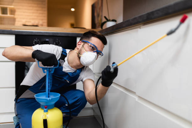 Best Pest Control Near Me  in Wheaton, MD