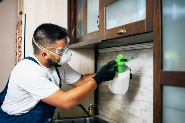 Best Best Pest Control Companies  in Wheaton, MD