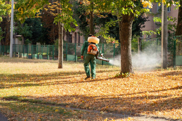 Best Commercial Pest Control Services  in Wheaton, MD